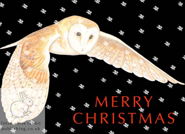 Flying Owl - Christmas Card