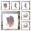 Mixed pack of Coastal inspired Greeting cards x6