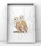 Watercolour Print Barn Owl Affinity - Image 1
