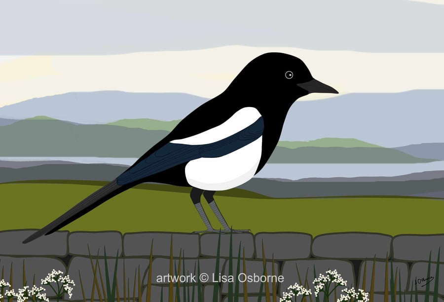 Magpie - bird art print - British birds - A5