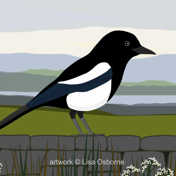 Magpie - bird art print - British birds - A5
