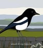 Magpie - bird art print - British birds - A5 - Image 1