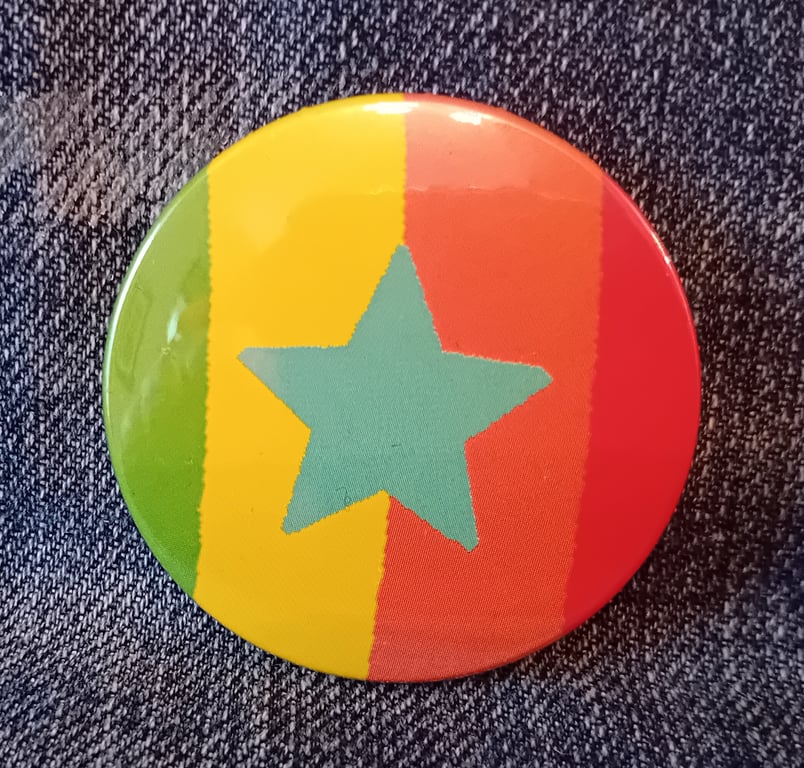 Picture Book  Badge - Colourful Star