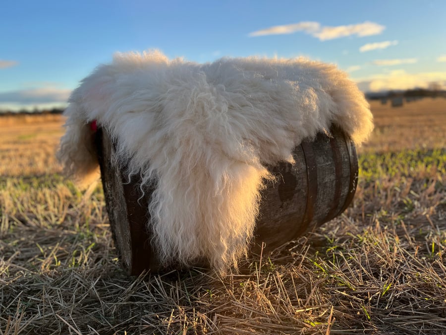 Wet Felted Mule Fleece Rug