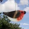 Fused Glass Robin