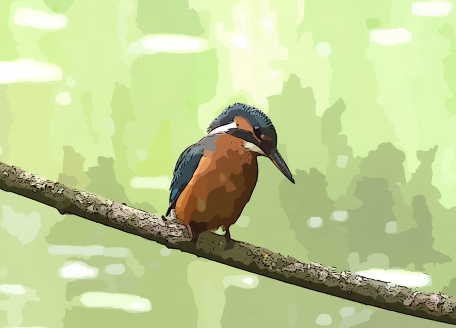 Kingfisher Arty Greeting Card A5 