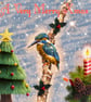 Kingfisher Norfolk Xmas Greeting Card A5