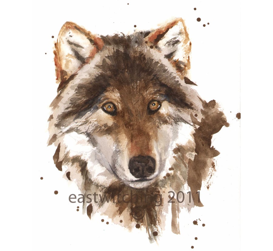 WOLF Art Print