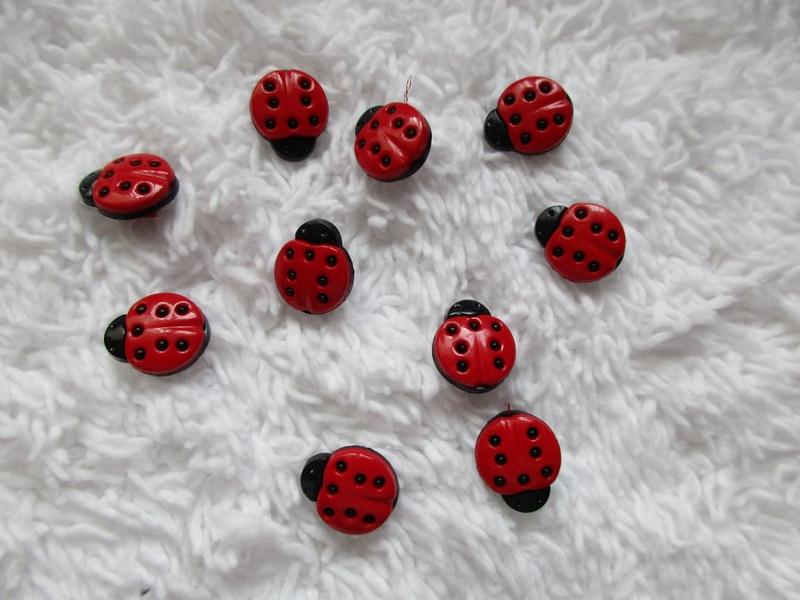 10 Ladybird Buttons