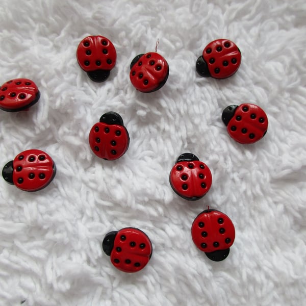 10 Ladybird Buttons