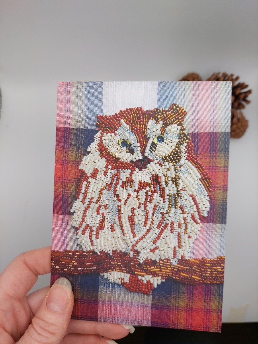 Tropical Screech Owl blank art card