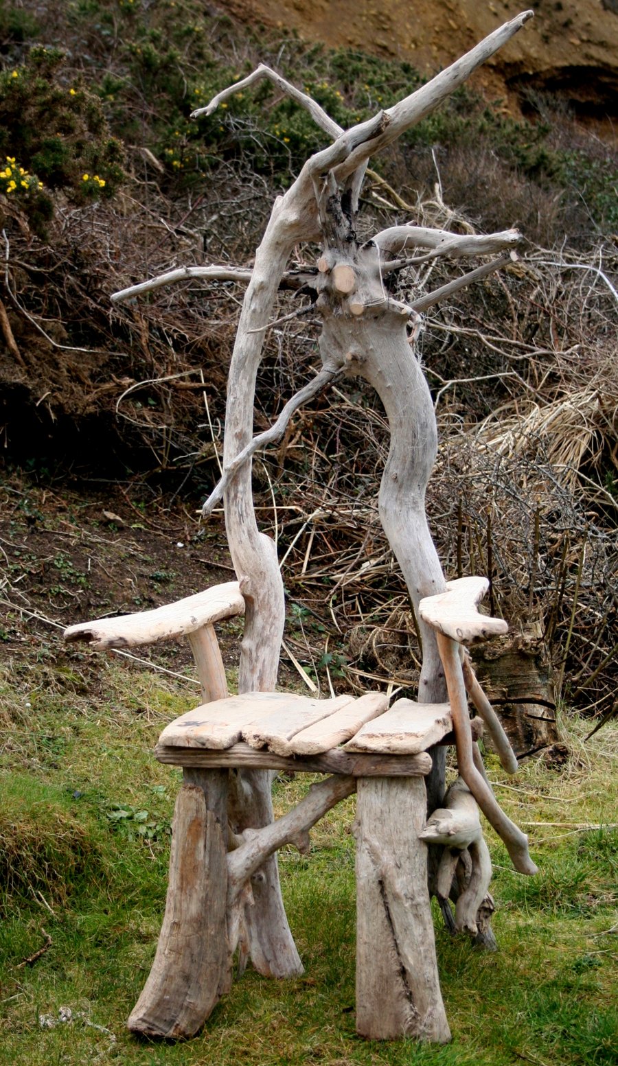 Driftwood Chair, Feature character Chair, Drift wood Furniture, Garden Chair, UK