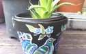 Plant pots handpainted