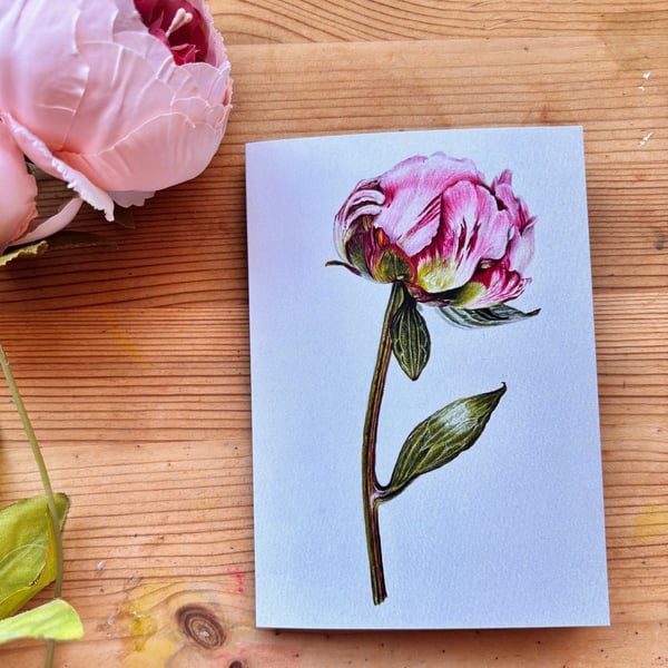 Peony card 