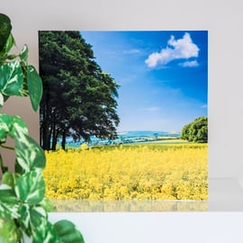 Yellow Rape Field Blank Greetings Card rapeseed summer landscape countryside 