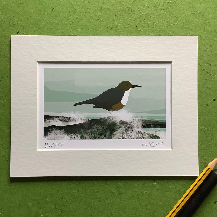 Dipper - signed print of bird illustration