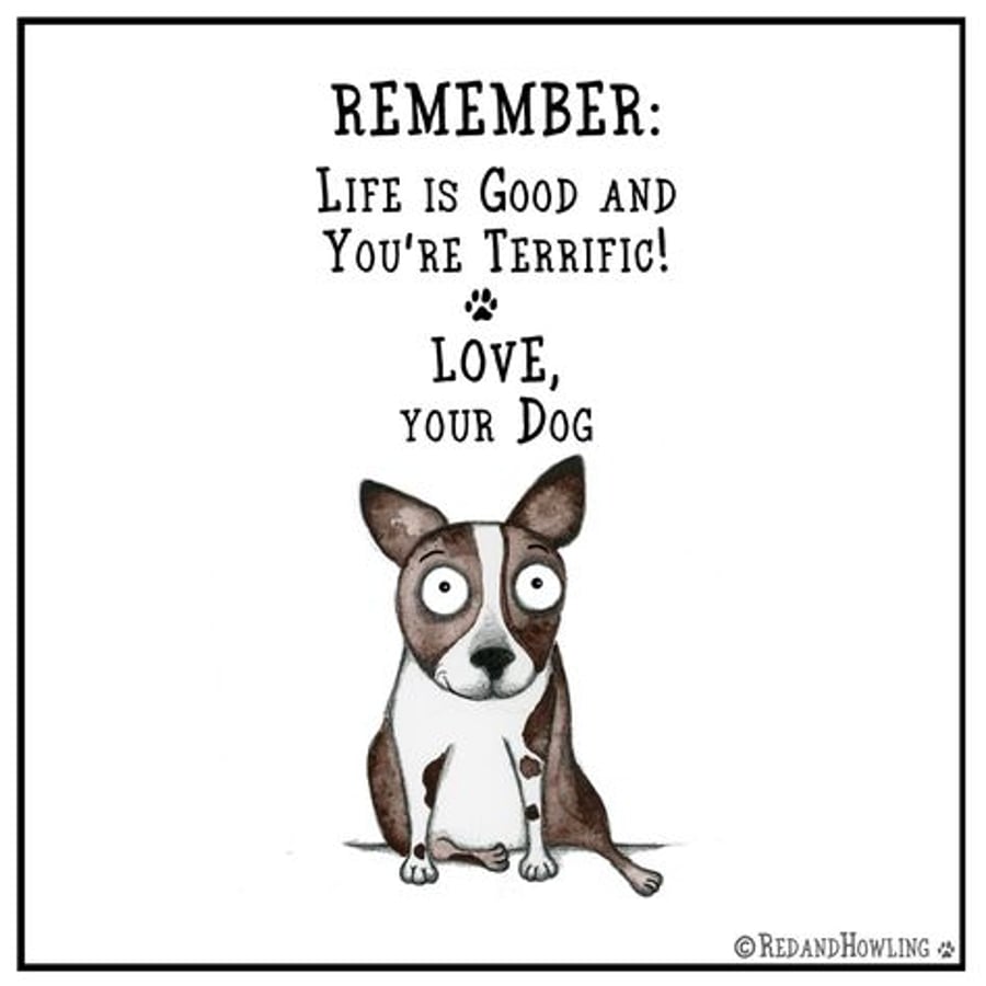 Your Dog Loves You and is Your Greatest Fan Fridge Magnet