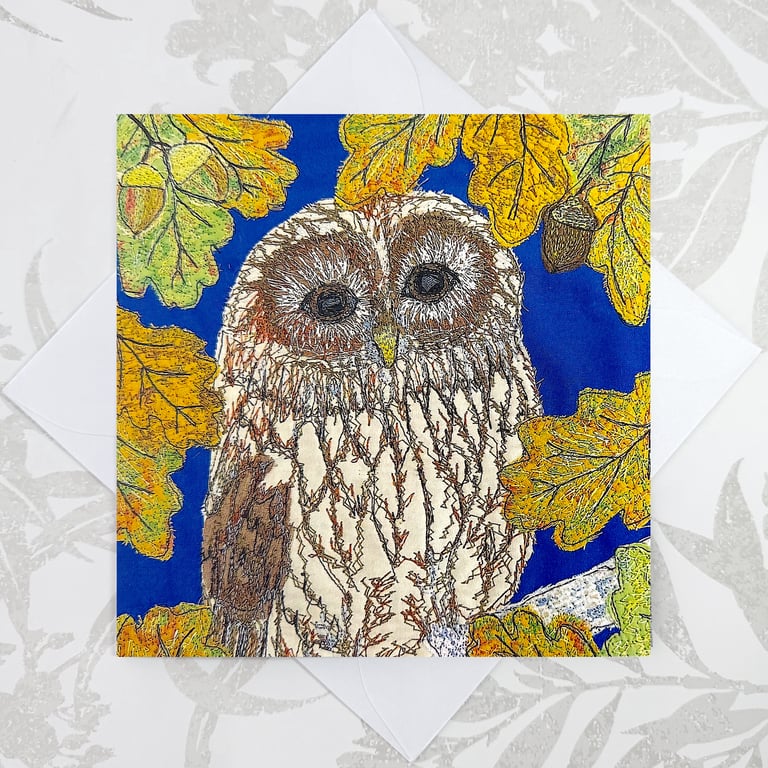 Owl birthday card - wise owl for general birthday, teachers, brownie leader etc
