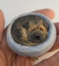Border Terrier Yorkshire Pudding - 4 - Image 3