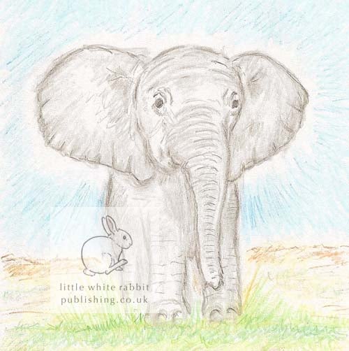 Benny the Baby Elephant - Blank Card