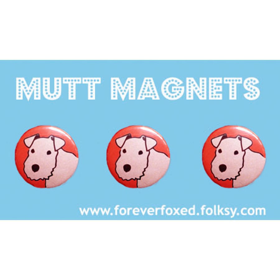 Lakeland Terrier Magnets