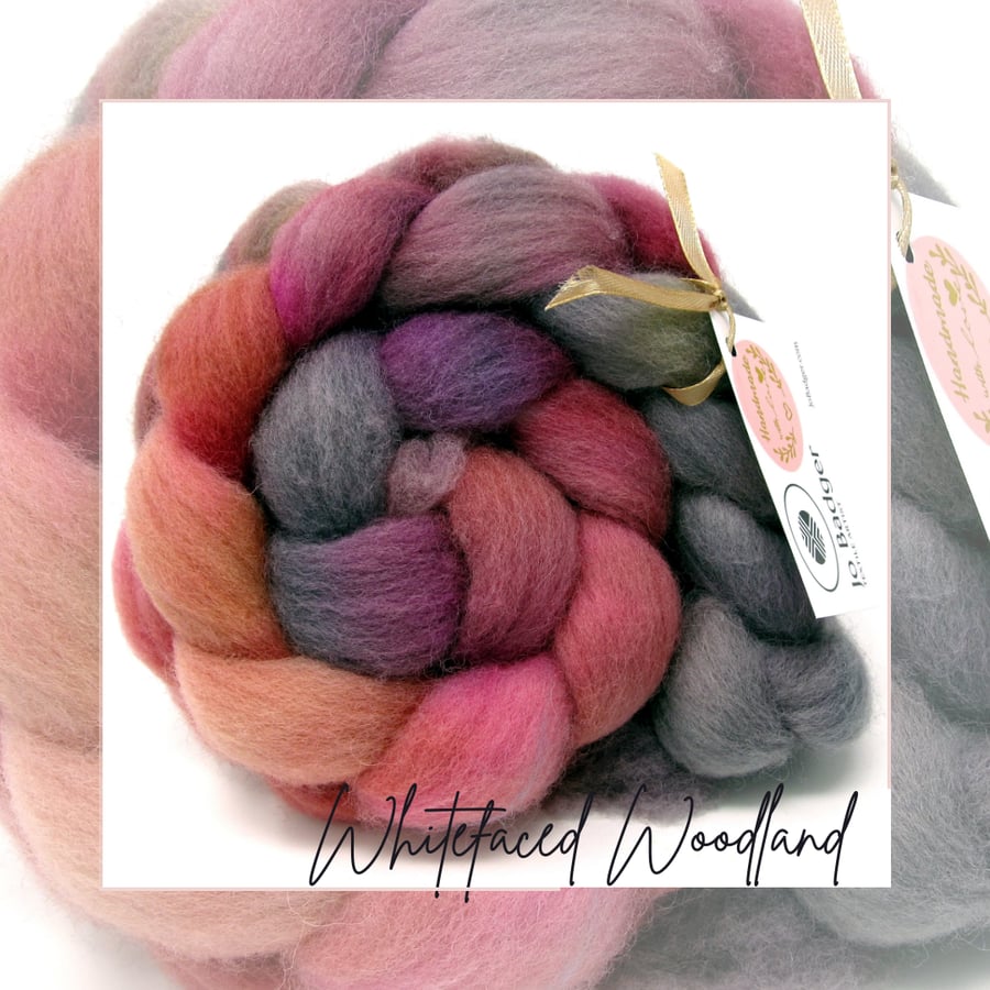 Hand Dyed Combed Wool Top Whitefaced Woodland British Breed 100g ww02