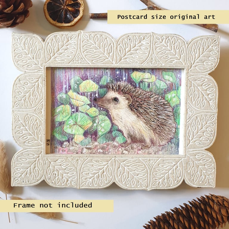 Little Hedgehog drawing, letterbox art gift, original art