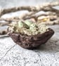 Handmade Bird Nest, Rustic Clay Bowl, Mini Trinket Dish, Wabi-Sabi Bowl - Image 2