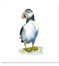 Puffin greeting card (blank) - Image 2