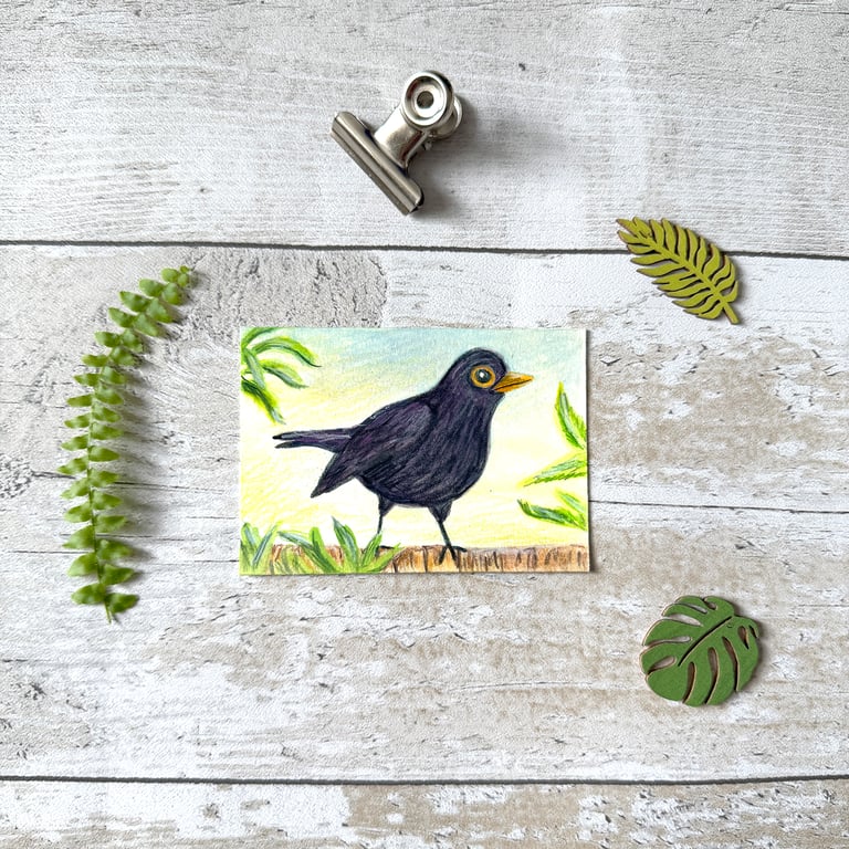 Blackbird Miniature Original ACEO painting - One of a kind