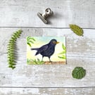 Blackbird Miniature Original ACEO painting - One of a kind