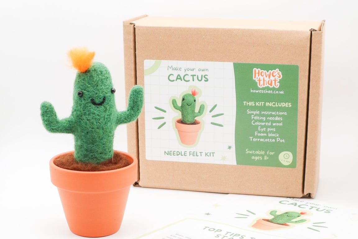 DIY Kit Woolly Cactus - Needle Felting Beginners Craft Kit High Quality