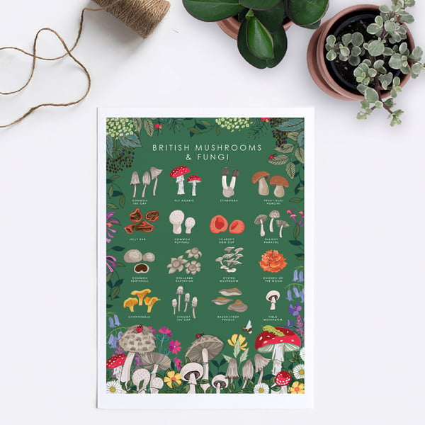 'British Mushrooms and Fungi' Illustration Print A4 Unframed 