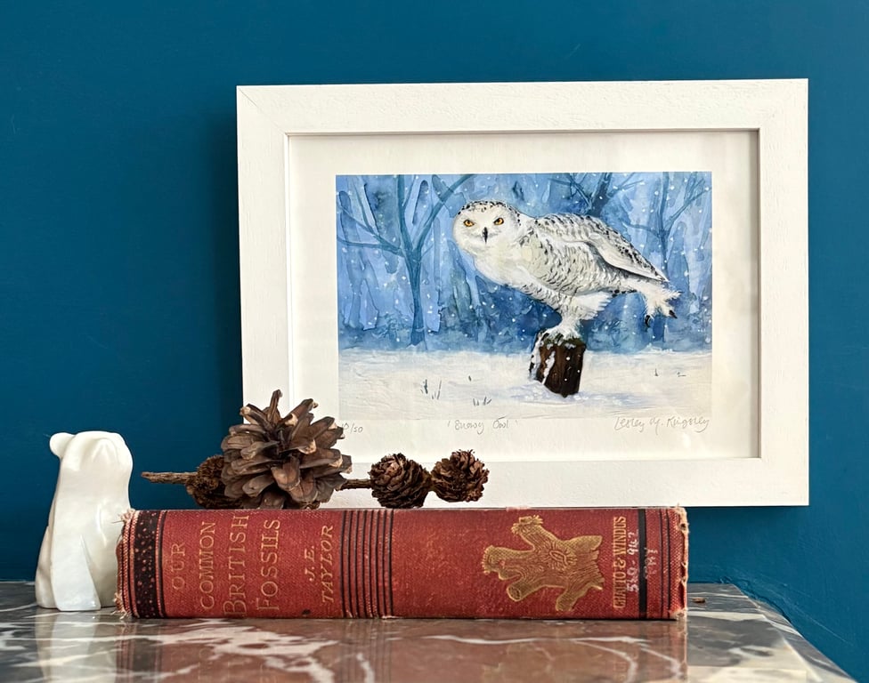'Snowy Owl' framed limited edition giclée print