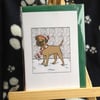 Border Terrier Christmas Card