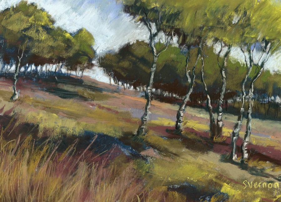 Birch Trees, Hathersage Moor - original pastel landscape painting