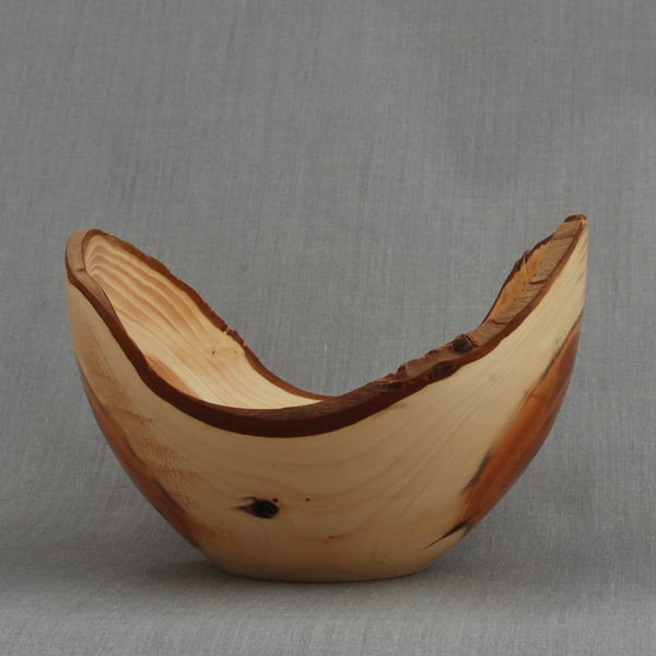 Swooping Curves in Yew