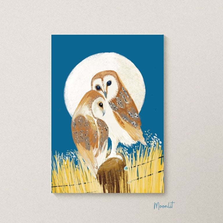 Owl Art Print - Barn Owls bird mounted art print