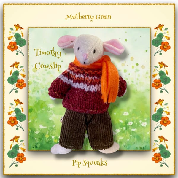 Timothy Cowslip - a young Pip Squeak from Mulberry Green 