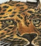 Original Amur Leopard Colour Pencil Drawing – A3 Wildlife Art - Image 4