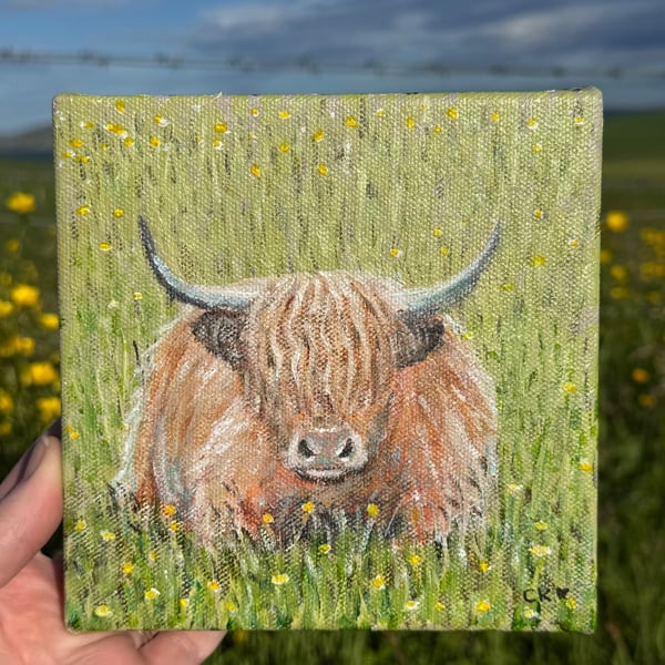Highland Cow Original Painting
