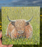 Highland Cow Original Painting
