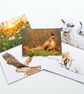 Just because wildlife series
