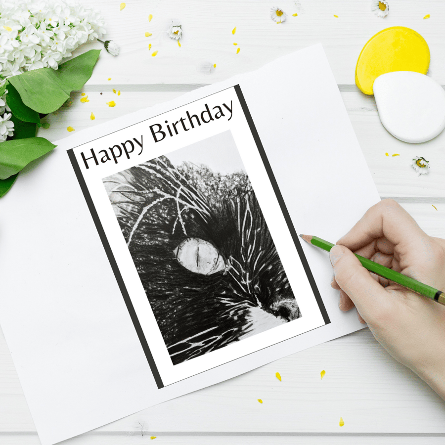 Birthday card, handmade,  Maine Coon, cat, black and white - RAIN