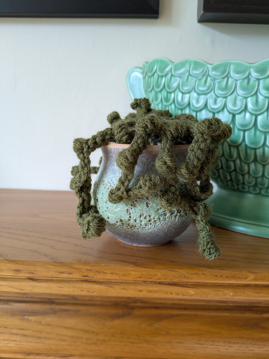 Handmade Crochet Trailing plant