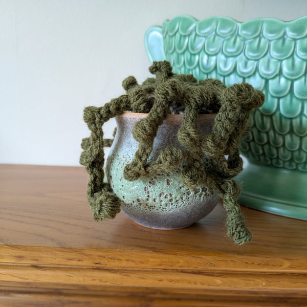 Handmade Crochet Trailing plant