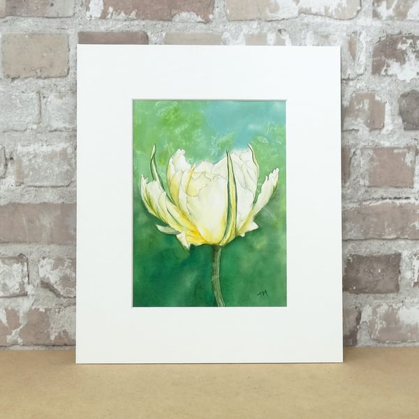 Tulip Art Watercolour Painting Floral 'Exotic Emperor Tulip'