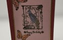 Bird Cards 