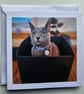 Cat in a Box Square Photographic Card Size 6" x 6" (15cm x 15cm)