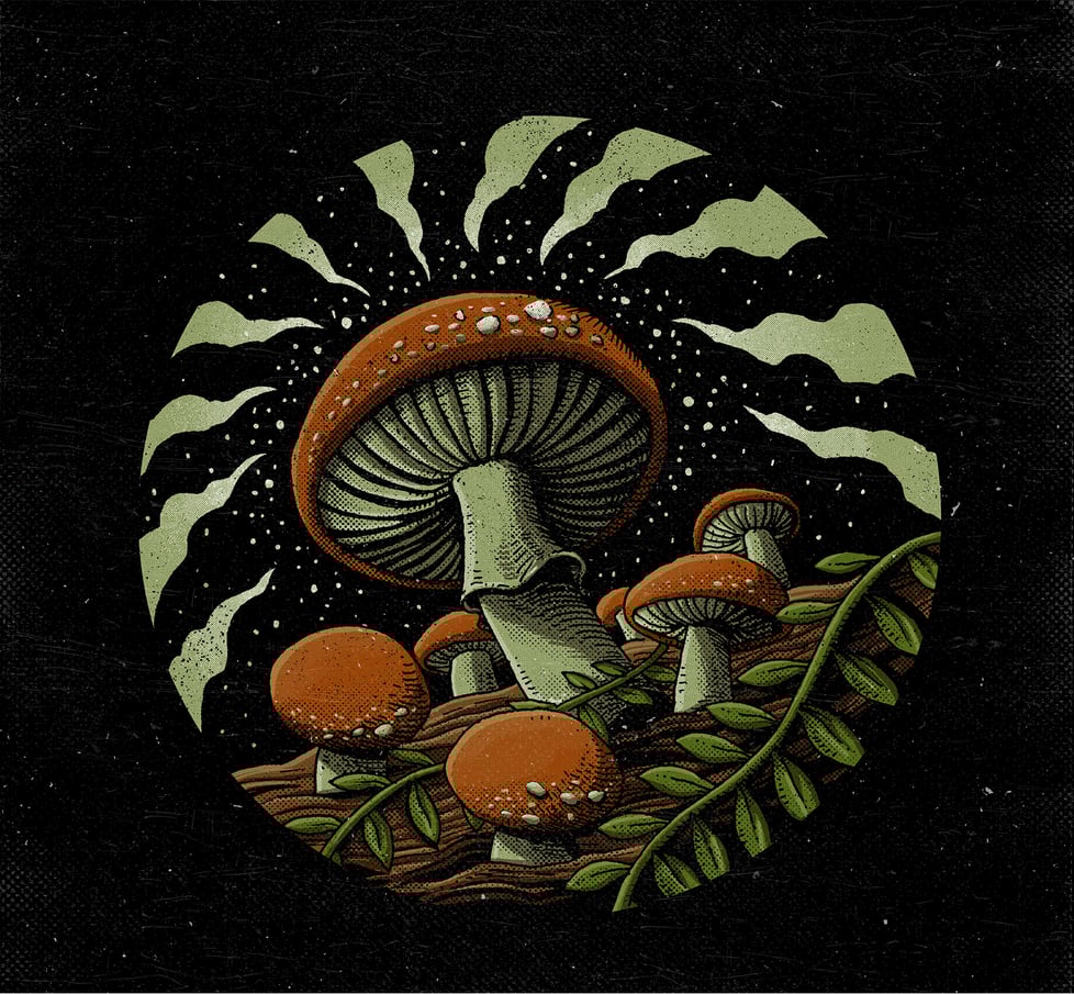 Cassia Mayos Ceramic Studio